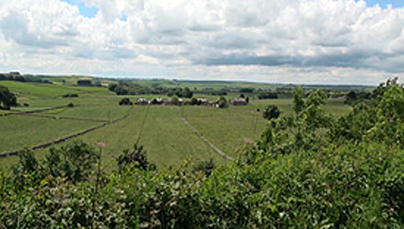 Watch Caravan Finder TV Series 4 Episode 12