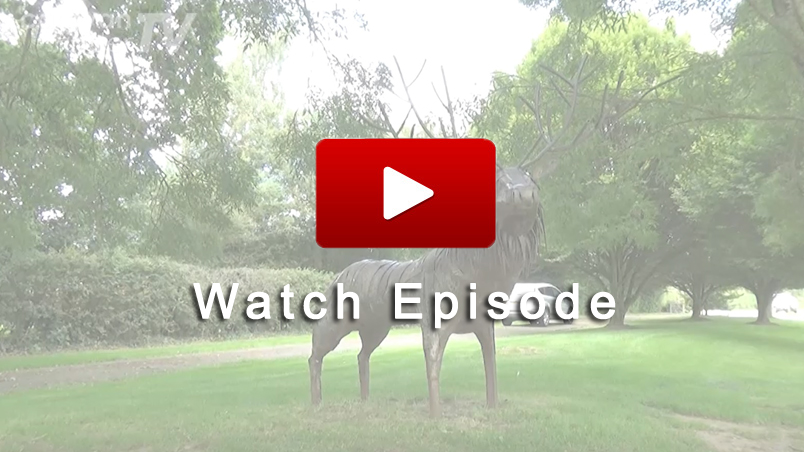 Watch Caravan Finder TV Series 10 Episode 23