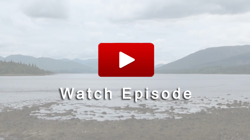 Watch Caravan Finder TV Series 11 Episode 02